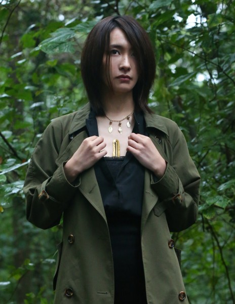 Kamen Rider Drive Saga: Kamen Rider Chaser