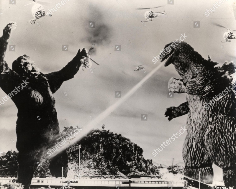 King Kong vs Godzilla