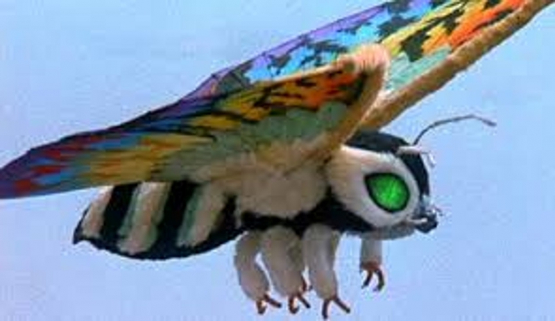Mothra