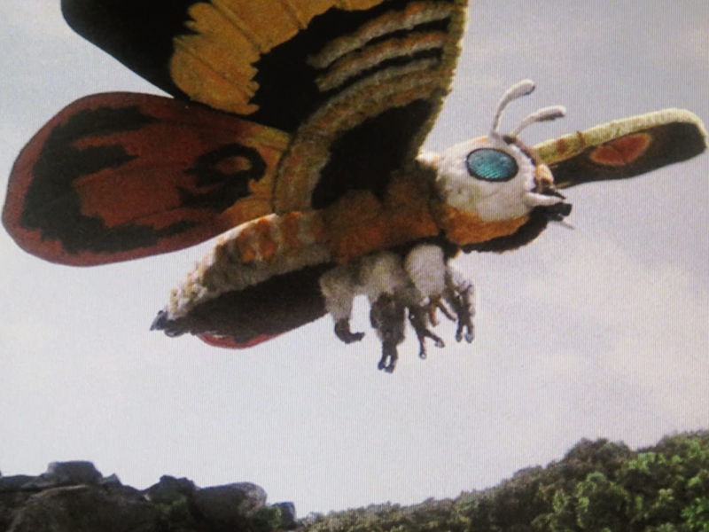 Mothra