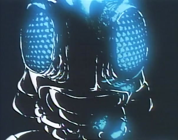 Toei TV Hero Encyclopedia Vol 1 - Kamen Rider Black